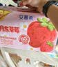 伊利安慕希丹东草莓风味酸奶230g*10瓶  礼盒装 实拍图