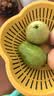 京鲜生红心珍珠芭乐/番石榴 5-8个 净重3斤 单果200g+ 生鲜水果礼盒 实拍图