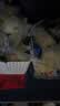 港荣蒸蛋糕淡糖450g小面包蛋糕早餐糕点甜品零食下午茶礼品盒 实拍图