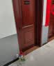 雅鹿2条100%纯棉男士秋裤男保暖衬裤冬季薄款全棉7A抗菌棉毛打底单裤 实拍图