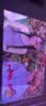 极米（XGIMI）Z9X 4K 高亮版 升级1600CVIA 轻薄4K光学变焦三色激光投影 家用投影仪办公会议无线投屏国家补贴 实拍图