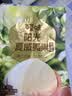 百草味奶油味夏威夷果100g零食干果坚果炒货每日坚果 新老包装随机发 实拍图