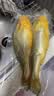 海名威 冷冻黄花鱼700g/2条装 宁德大黄鱼 海鱼 生鲜鱼类 海鲜水产 实拍图