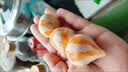 安井鱼籽包 240g/包 鱼糜含量≥45%锁鲜装火锅麻辣烫关东煮食材 实拍图