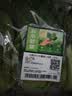 【火锅季】七鲜24小时富硒大叶茼蒿 200g 实拍图