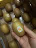 佳沛（zespri）新西兰 金奇异果特大果15粒134-146g猕猴桃水果礼盒 实拍图