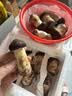 京鲜生云南新鲜姬松茸净重1斤鲜菌菇煲汤小炒火锅食材源头直发 实拍图