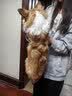 麦德氏IN高钙低敏配方羊奶粉300g*2宠物狗狗猫咪幼犬幼猫羊奶粉 实拍图