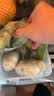 【霜打菜】松花菜约500g(菜花) 实拍图