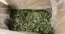 BCM烘干全叶苜蓿草幼兔干草兔子紫花苜蓿草纯叶子龙猫荷兰猪兔粮400g 实拍图
