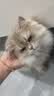 海洋之星烘焙猫粮冰川三文鱼猫粮 幼猫成猫美毛 布偶蓝猫全价鲜肉粮1.5kg 实拍图