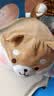 名创优品（MINISO）趣味阿柴柴犬小狗玩偶抱枕毛绒娃娃学生午睡枕沙发靠枕生日礼物 实拍图