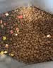 网易严选全价猫粮4.0成幼猫三文鱼亮毛养胃深海鱼虾1.8kg*4袋【宠物金选】 实拍图