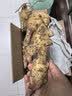 京地达山东带泥红芽嫩姜仔姜净重5斤单果50g+醋泡嫩姜源头直发包邮 实拍图