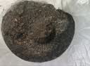大益TAETEA茶叶普洱茶熟茶 小龙柱饼茶提装礼盒357g*5饼 高端熟茶 实拍图