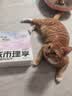 皇家猫粮 幼猫猫粮 幼猫奶糕 K36 通用粮 4-12月 2KG【宠物金选】 实拍图