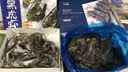 禧美海产鲜冻黑虎虾净重2斤装 规格40-50只/kg 单冻大虾 烧烤 礼盒 实拍图