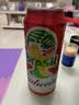 百威【哈宝同款】世界杯礼盒版啤酒【40周年限定】500ml*12罐整箱装 实拍图