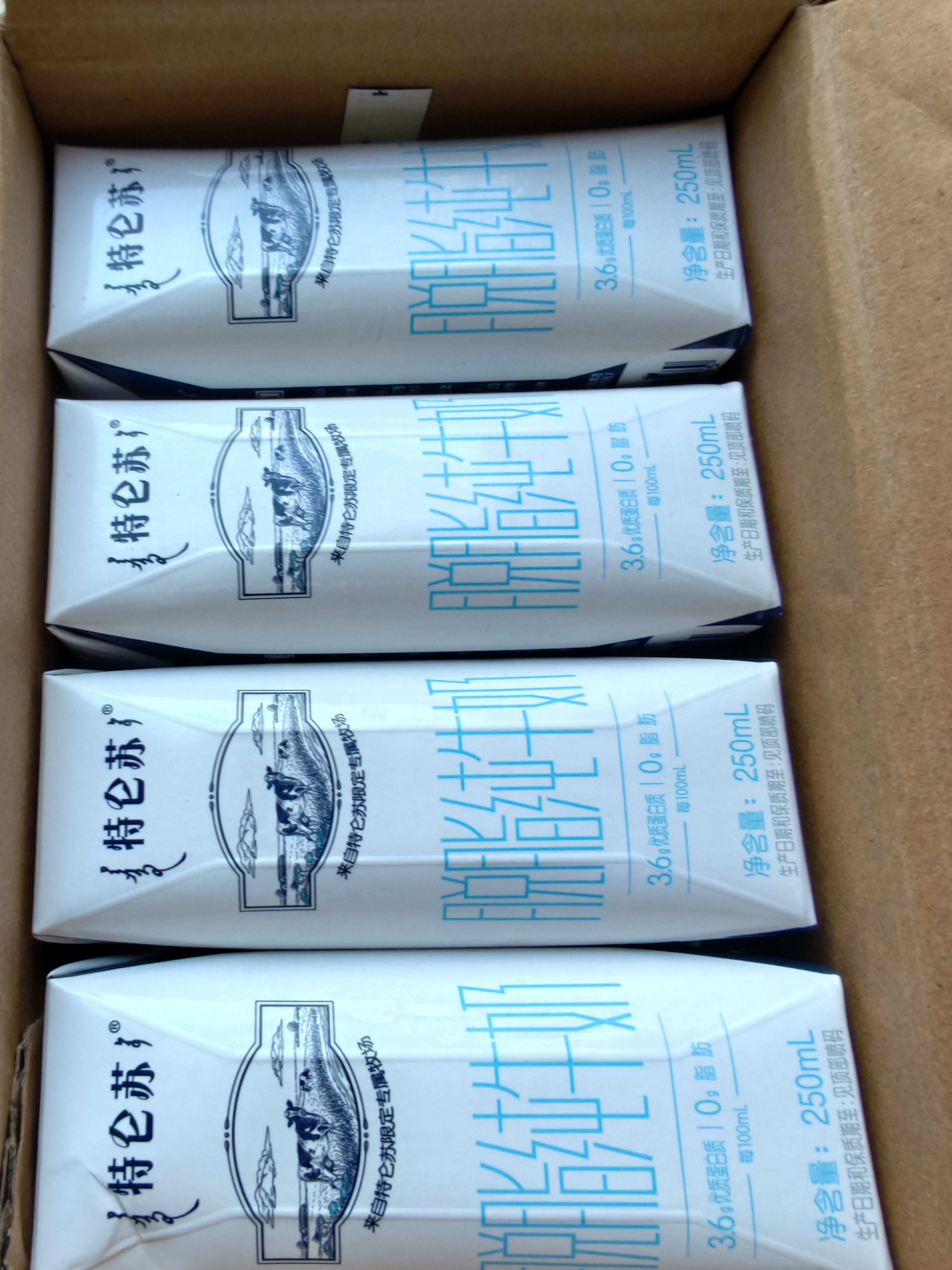蒙牛特仑苏脱脂纯牛奶250ml*16盒 3.6g蛋白 健身减脂 送礼礼盒 实拍图