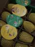 佳沛（zespri）新西兰金奇异果16粒经典果88-103g猕猴桃水果礼盒 实拍图
