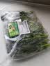 【24小时菜】菠菜苗250g(长度≤20cm) 实拍图