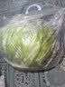 山东新鲜甘蓝包菜卷心菜圆白菜新鲜嫩绿莲花白现摘现发早餐减脂 新鲜包菜 4.6斤净重 人工挑拣 实拍图