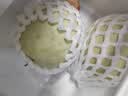 玉菇甜瓜冰淇淋现摘新鲜水果整箱当季水果香瓜冰淇淋（多仓发货） 【精品装】 9斤(净重8.5斤) 实拍图