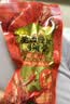 百草味鸭锁骨甜辣味140g 熟食卤味休闲零食办公室解馋网红小吃 实拍图