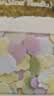 爷爷的农场有机婴幼儿片片面200g营养辅食宝宝面条婴儿面条儿童早餐6-12个月 实拍图