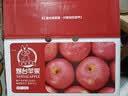 京鲜生 烟台红富士苹果 10斤装【精品大果】 单果80-85mm  生鲜礼盒 实拍图