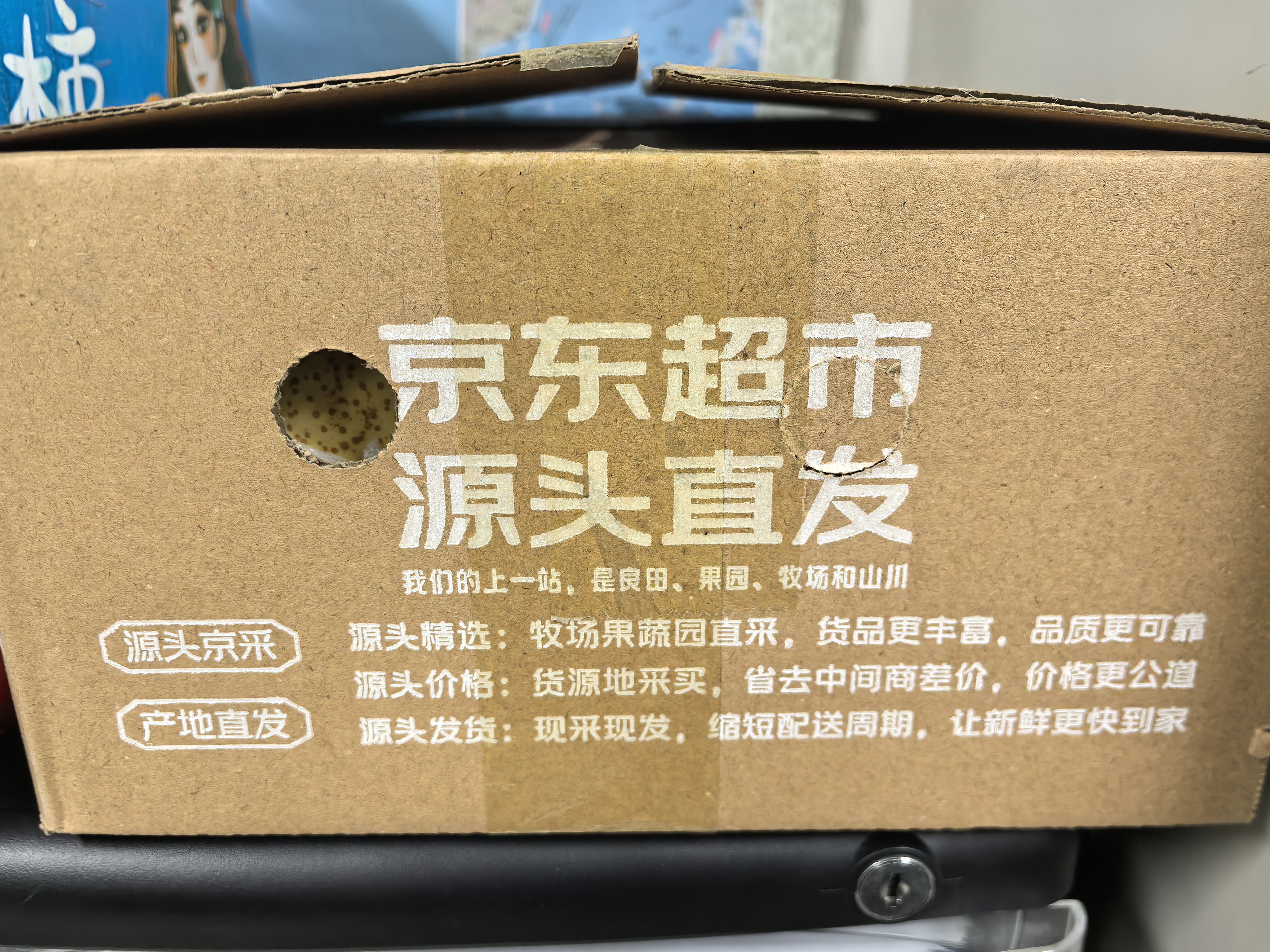 京地达砀山酥梨净重5斤特大果6-8两雪梨贡梨子 脆甜爽口  源头直发 包邮 实拍图