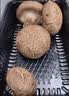 鲜花菇200g 实拍图