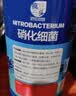 疯狂石头活性硝化细菌鱼缸专用鱼池净化水质分解鱼便600ML白点净 实拍图