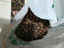 绿盼 大号颗粒陶粒5L花用垫底花盆保水园艺养花基质铺面回填填充材料 实拍图
