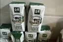 伊利【新鲜日期】金典纯牛奶早餐奶250ml*16盒3.6g 礼盒装 实拍图