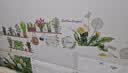 墨斗鱼墙贴画墙纸贴画墙壁装饰宿舍客厅卧室书房冰箱房间墙壁贴纸 实拍图