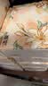 洁柔抽纸 繁花系列3层100抽*20包 可湿水面巾纸 柔韧卫生纸 整箱纸巾 实拍图