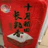十月稻田 【2026新米】长粒香大米5kg 东北大米10斤 团购福利 节日送礼 实拍图