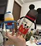 贝亲（Pigeon）PPSU迪士尼双把手奶瓶330ml LL号奶嘴 秋收时分 9月+ AA235 实拍图