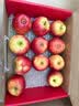 苹果先生Mr Apple 新西兰皇后红玫瑰苹果12粒礼盒 单果150g起 源头直发  实拍图