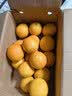 玖原农珍 赣南脐橙新鲜橙子含箱10斤净重9斤优选果160-350g 水果礼盒 实拍图