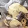 福东海30天月子水茶【五大阶段】产后哺乳顺产剖腹产小月子餐气血营养品 实拍图