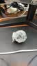 大疆 DJI Mic Mini 迷你无线高品音质降噪领夹麦克风【安卓+苹果151617】手机版两发一收 实拍图