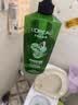 欧莱雅茶树植萃洗发水控油去屑洗发露700ml(男女 无硅油 去屑净油) 实拍图