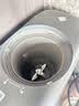 九阳（Joyoung）九阳豆浆机K7降嘌呤浆古法浆2-4人可预约免手洗免煮免滤可做豆花多功能破壁机 实拍图