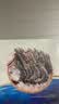 京觅海外直采泰国活冻黑虎虾400g(41/50规格)16-20只/盒 实拍图