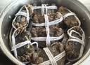 【活蟹】湖鲜阳澄 大闸蟹 去绳足重 全母蟹2.0-2.3两 8只 鲜活超大螃蟹生鲜海鲜礼盒装 实拍图