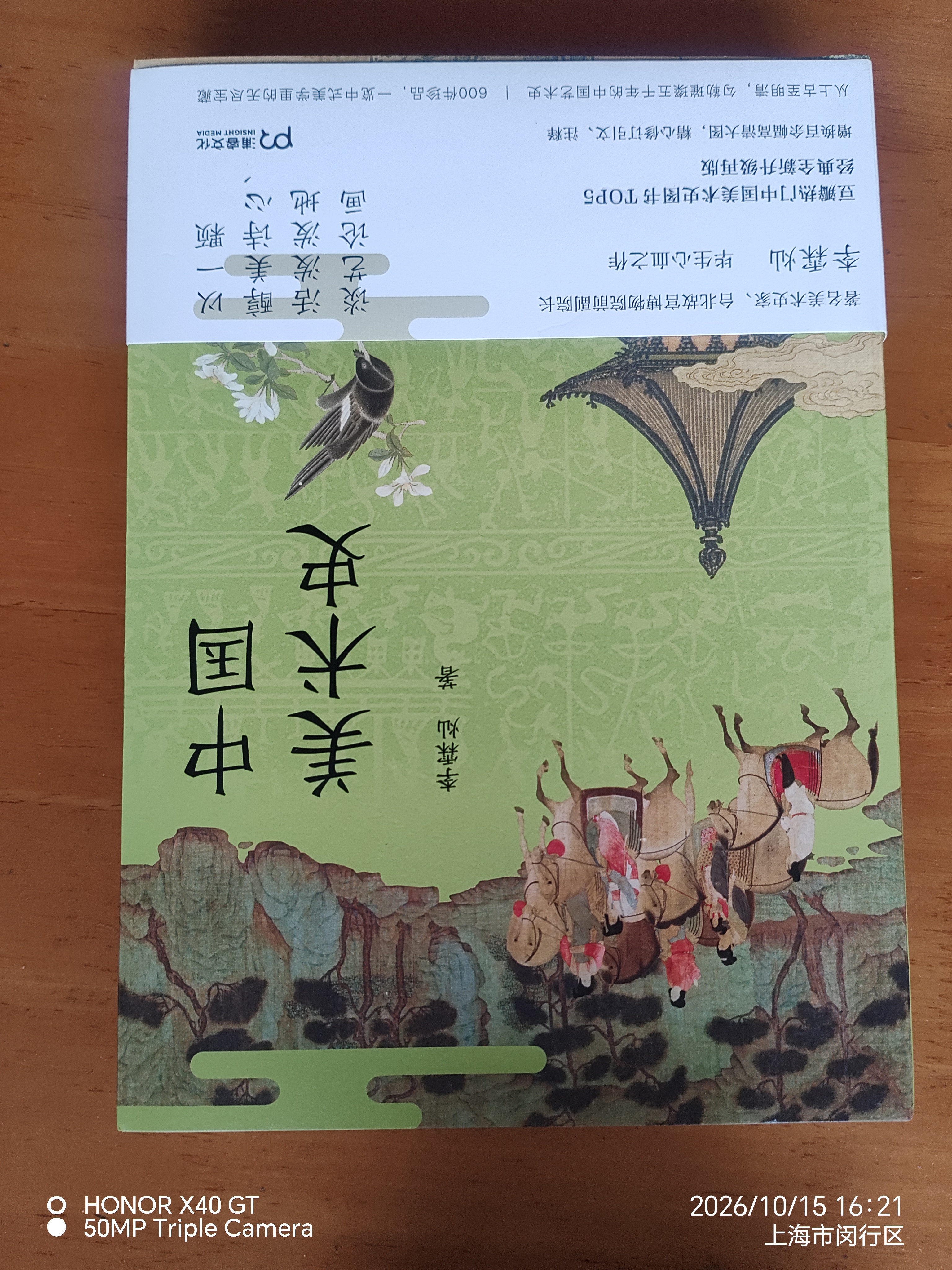 中国美术史（豆瓣热门中国美术史图书TOP10经典全新升级再版，一本书读完五千年璀璨绚丽的中国美术史） 实拍图