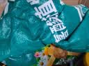德沃多植物营养土通用30L园艺养花土壤种菜有机种植土果蔬盆栽 实拍图