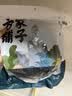 方家铺子中华老字号紫菜100g/袋煲汤紫菜蛋花汤紫菜头水海带 实拍图